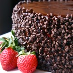 chocolate pecan torte with strawberry buttercream