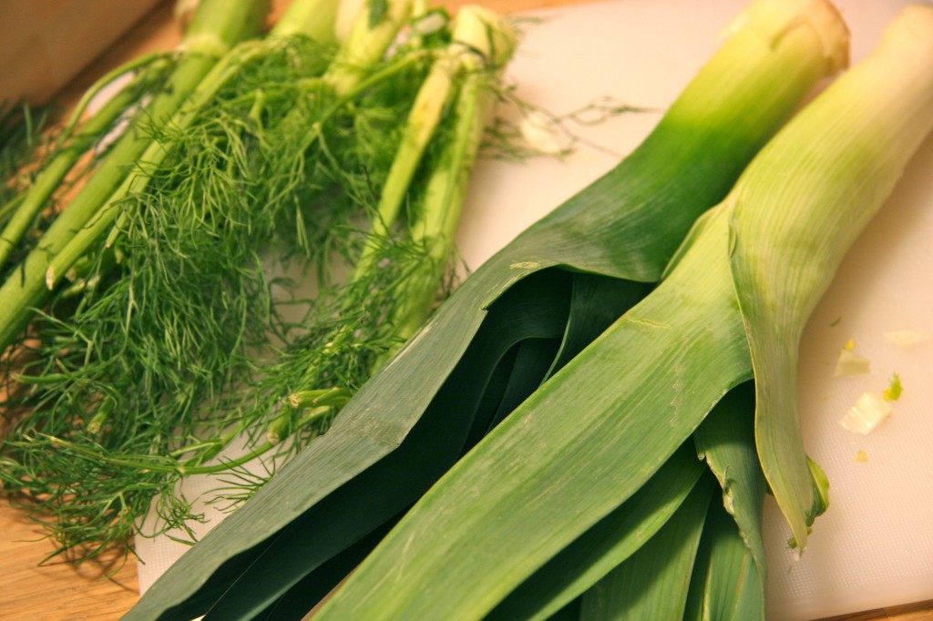 fennel fronds and leeks