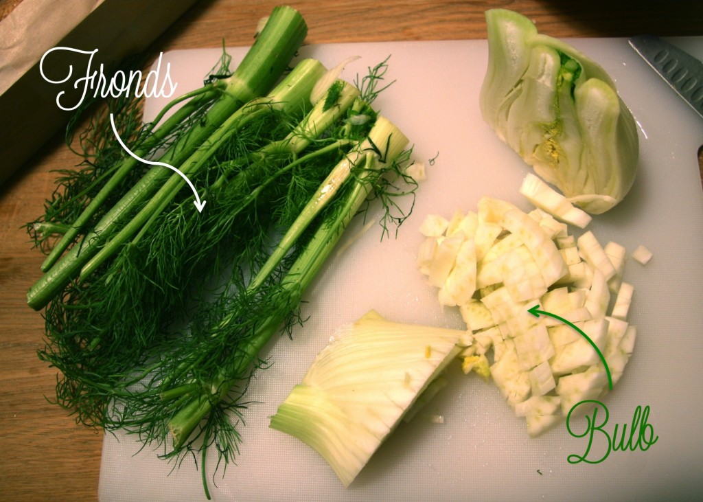 fennel fronds and bulb