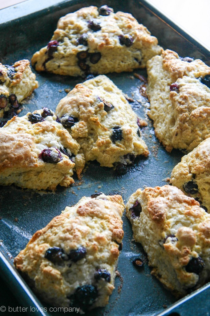 blueberry buttermilk scones with cinnamon sugar butter 8