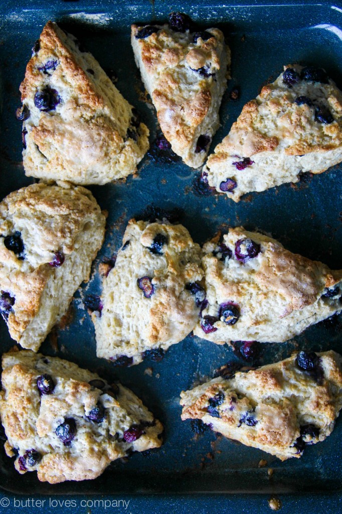 blueberry buttermilk scones with cinnamon sugar butter 9