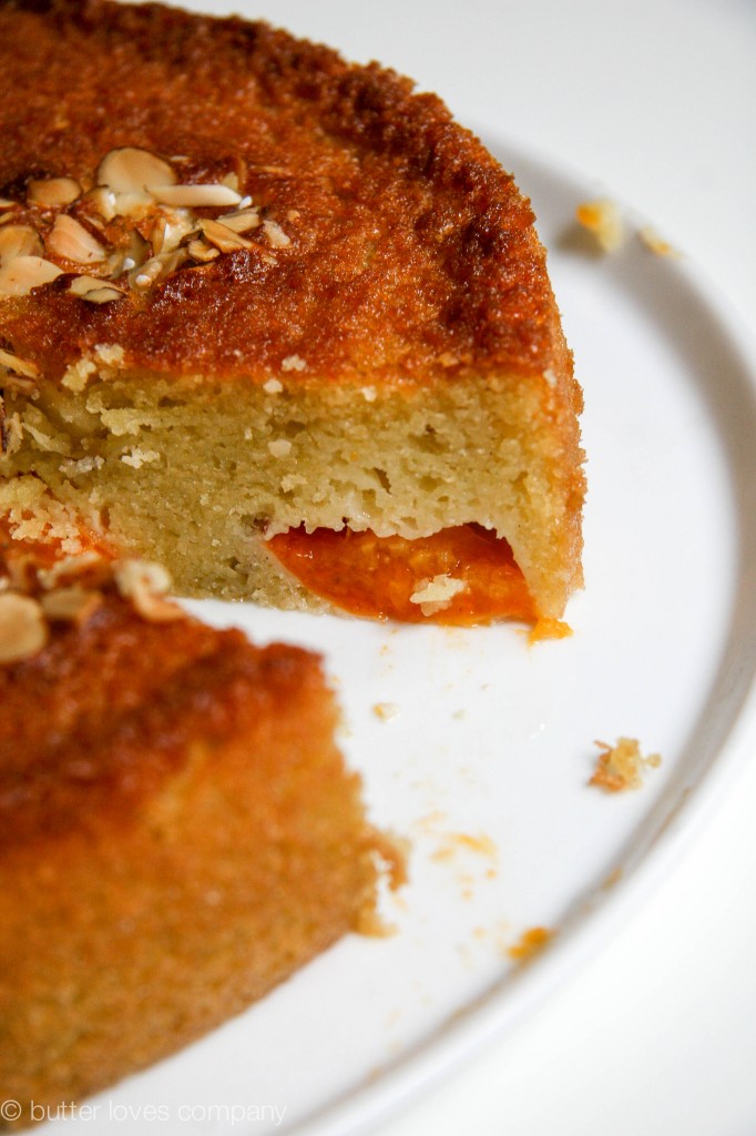 almond-apricot-olive-oil-cake-recipe-12
