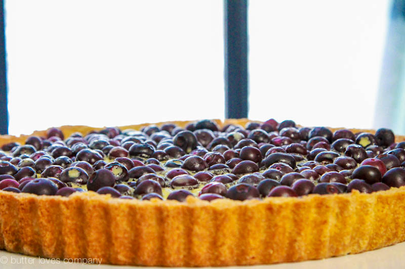 blueberry-lemon-cream-tart-4