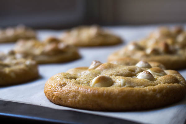 white chocolate macadamia cookies