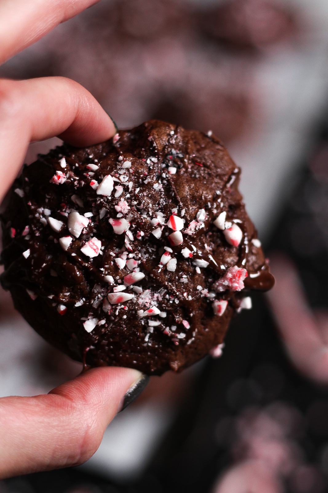 drizzled chocolate peppermint cookies | butter loves company